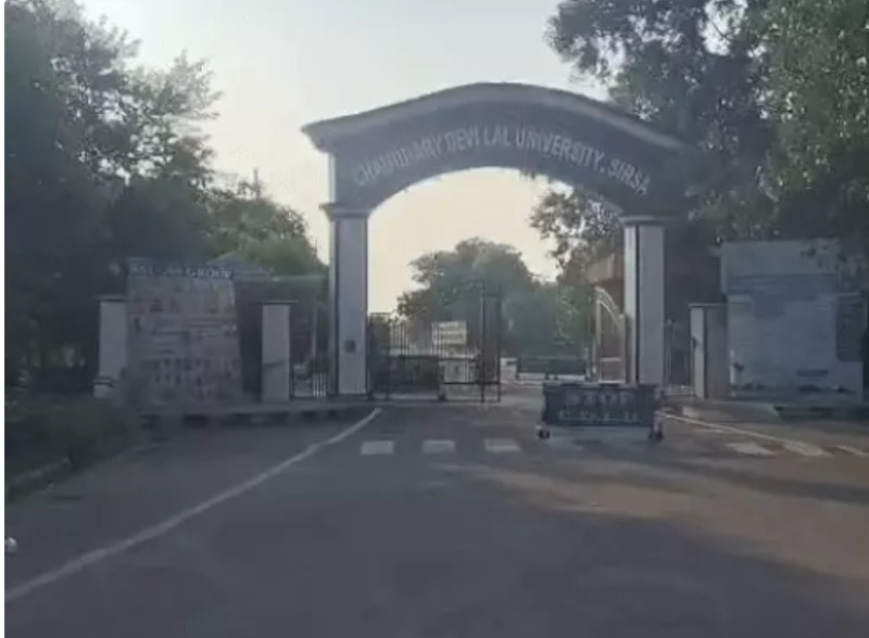सिरसा CDLU में क्लर्क ने किया सुसाइड:अकाउंट ऑफिस में निगला जहरीला पदार्थ; साथी को अस्पताल ले जाने का कहा था